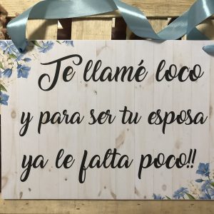 Cartel "Te llamé loco"